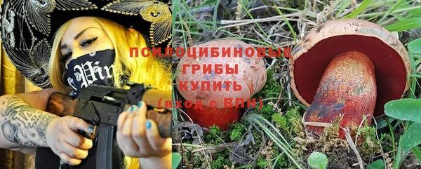 а пвп мука Корсаков