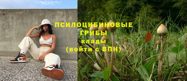 кристаллы Кодинск