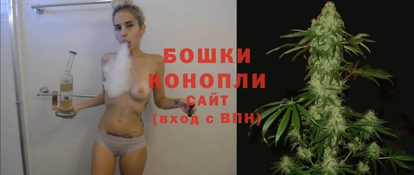 стафф Карпинск