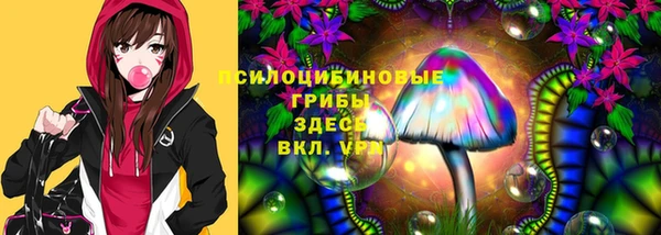 кокс Козельск