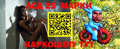 гидропоника Моздок