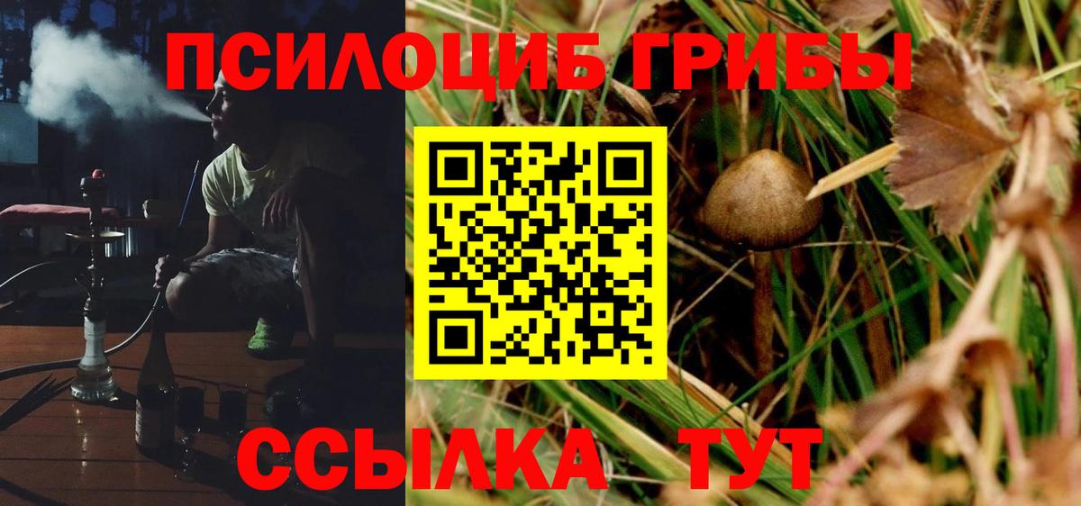 Псилоцибиновые грибы Psilocybine cubensis  Вход с VPN  Курганинск  Галлюциногенные грибы MAGIC MUSHROOMS 